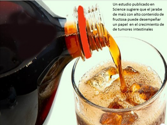 Nada con exceso, todo con medida