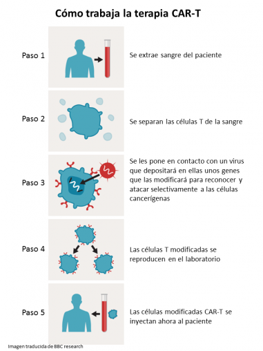 Terapia genética individualizada
