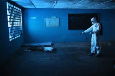 b2ap3_thumbnail_Cadaver-fumigado.jpg