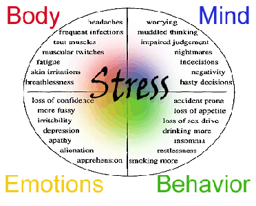 b2ap3_thumbnail_stresssymptoms.gif